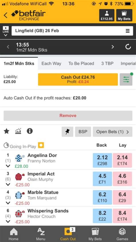 apk betfair|Betfair Mobile App 2022: Download the Latest Android .apk.